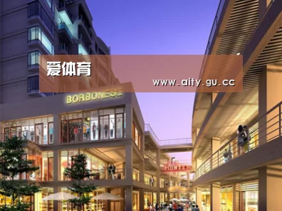 案例展示一(图1)
