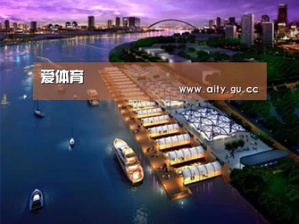 案例展示八