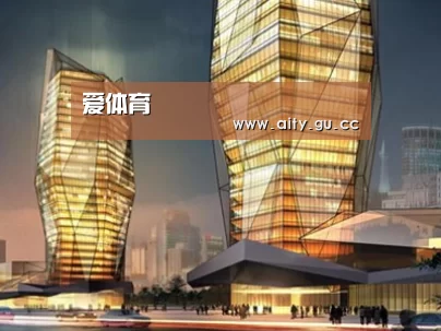 案例展示三